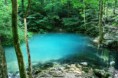 /album/galerie-foto-naturaro-/images-1-jpg1/